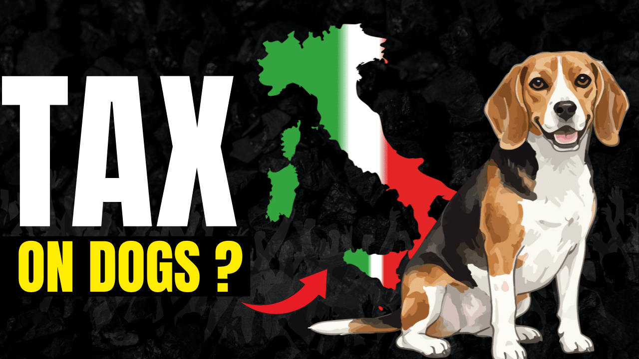 Italy’s New Dog Tax: Bolzano’s Pet Fee, DNA Poop Fines, and What It Means for Travelers